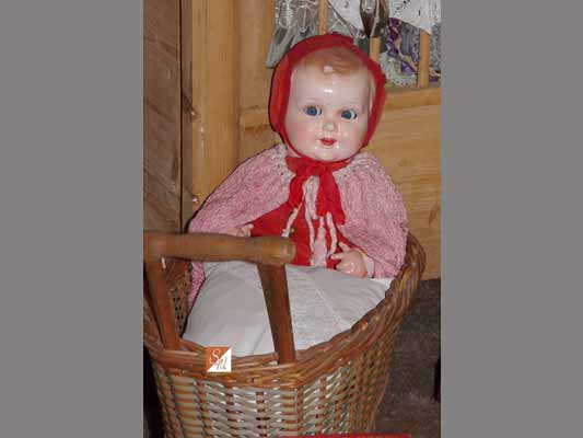 Bulldoghof Remler, Brandis, © Foto Sylvia Wentzlau