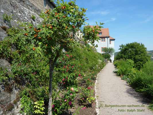 Dornburger Schlösser