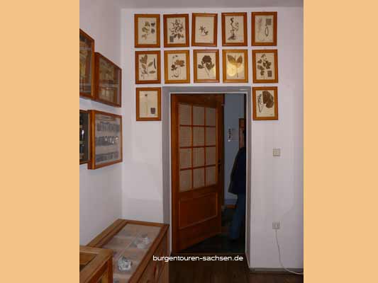 Schulmuseum Leipzig, © Foto Sylvia Wentzlau