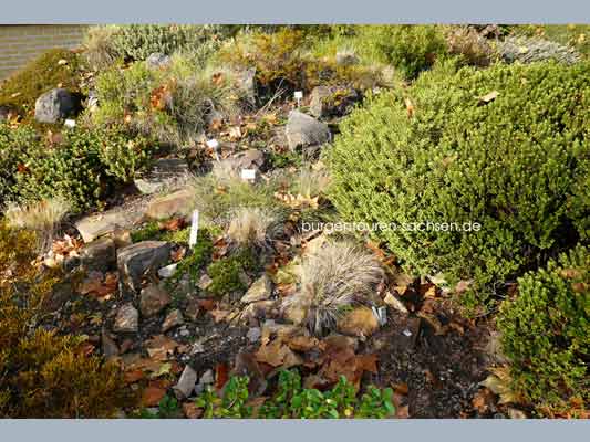 Botanischer Garten Leipzig