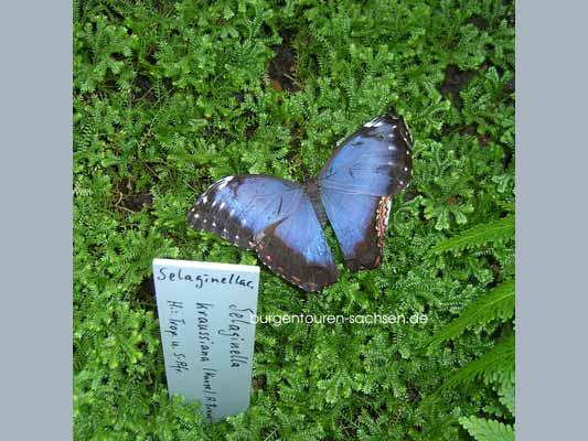 Botanischer Garten Leipzig