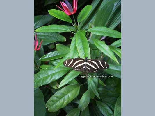 Botanischer Garten Leipzig