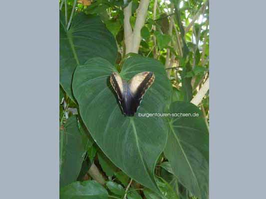 Botanischer Garten Leipzig