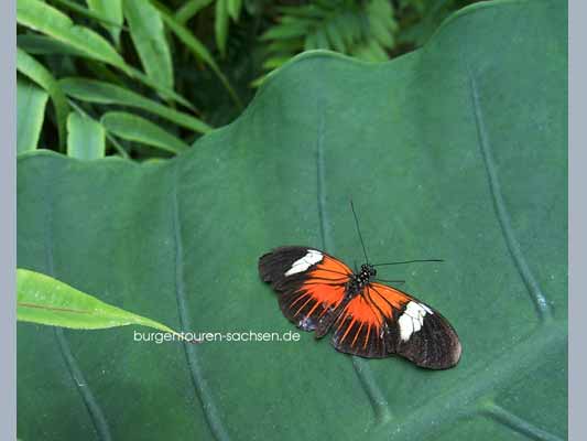 Botanischer Garten Leipzig
