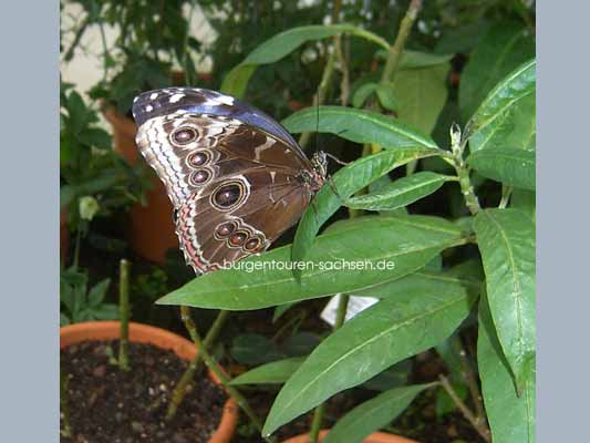 Botanischer Garten Leipzig