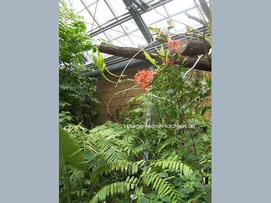 Botanischer Garten Leipzig