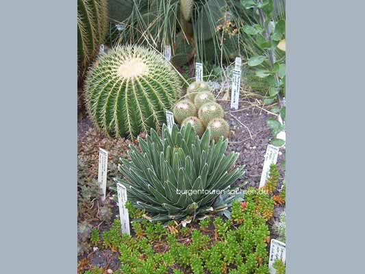 Botanischer Garten Leipzig
