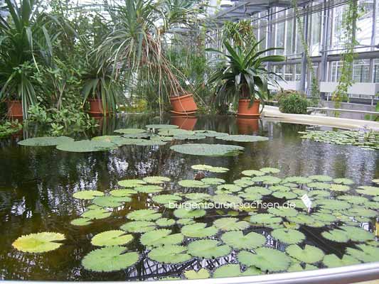 Botanischer Garten Leipzig