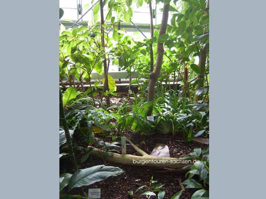 Botanischer Garten Leipzig