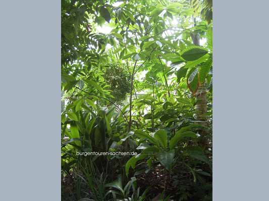 Botanischer Garten Leipzig