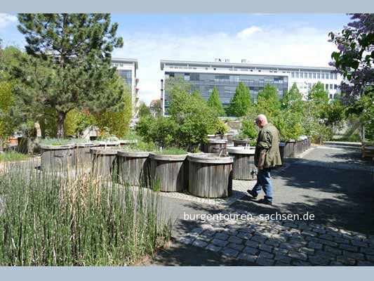 Duft- und Tastgarten Leipzig, © Foto Sylvia Wentzlau