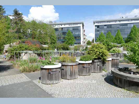 Duft- und Tastgarten Leipzig, © Foto Sylvia Wentzlau