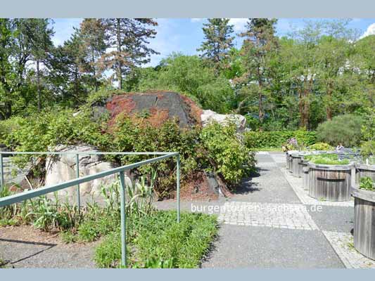 Duft- und Tastgarten Leipzig, © Foto Sylvia Wentzlau