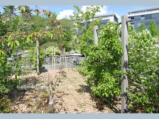 Duft- und Tastgarten Leipzig, © Foto Sylvia Wentzlau