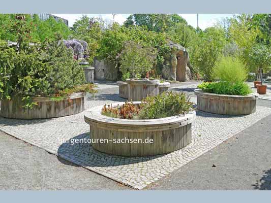 Duft- und Tastgarten Leipzig, © Foto Sylvia Wentzlau