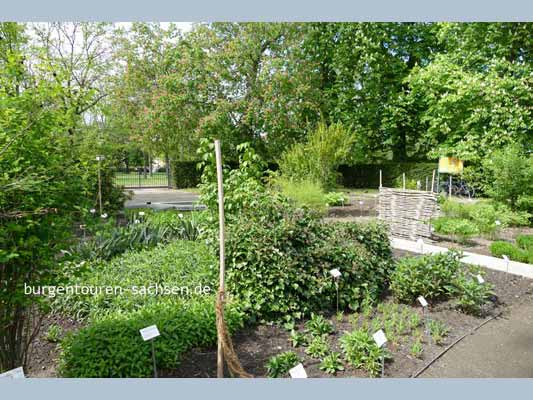 Apothekergarten Leipzig, © Foto Sylvia Wentzlau