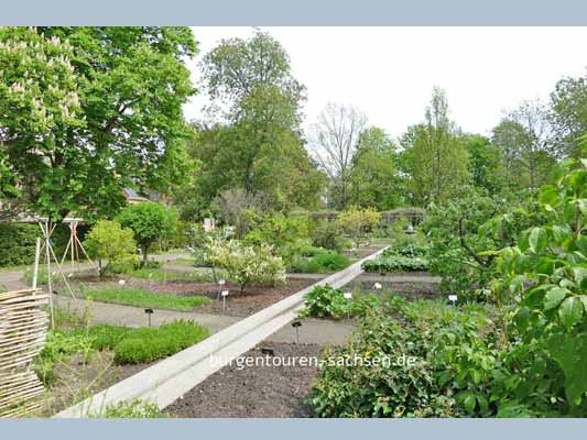 Apothekergarten Leipzig, © Foto Sylvia Wentzlau