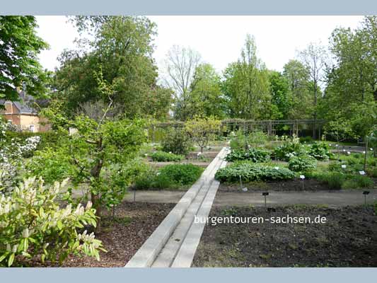 Apothekergarten Leipzig, © Foto Sylvia Wentzlau