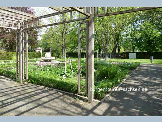 Apothekergarten Leipzig, © Foto Sylvia Wentzlau