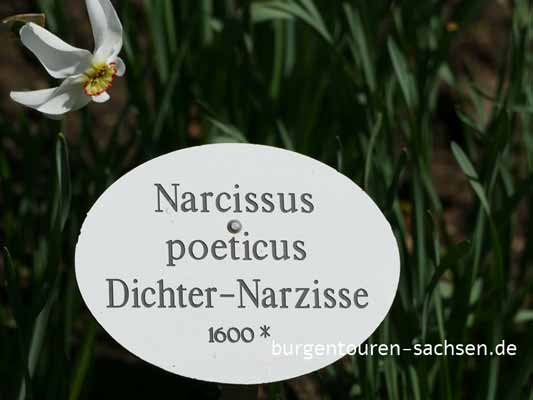 Apothekergarten Leipzig, © Foto Sylvia Wentzlau