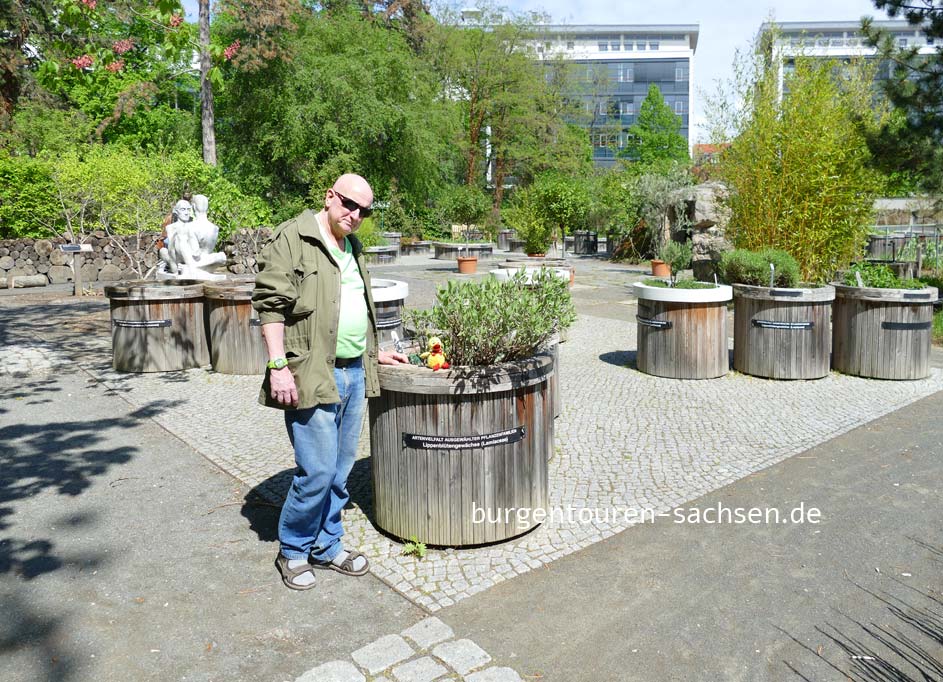 Duft- und Tastgarten | Universität Leipzig Bontanischer Garten