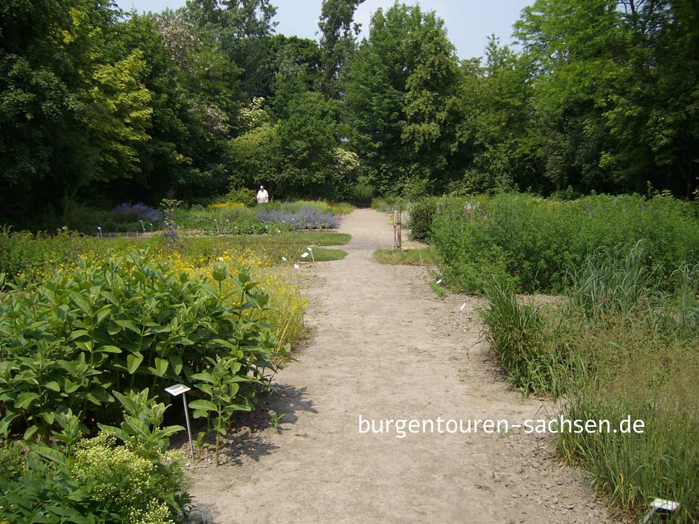Botanischer Garten für Arznei- und Gewürzpflanzen Großpösna-Oberholz