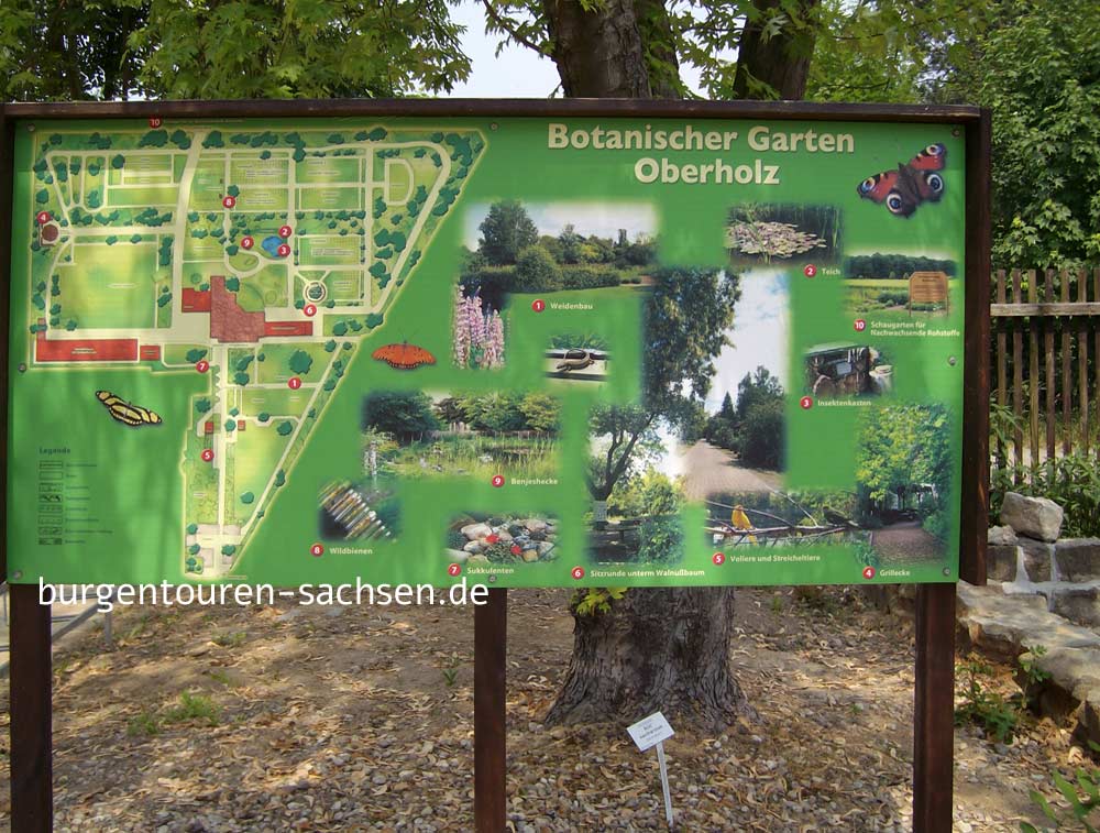 Botanischer Garten für Arznei- und Gewürzpflanzen Großpösna-Oberholz
